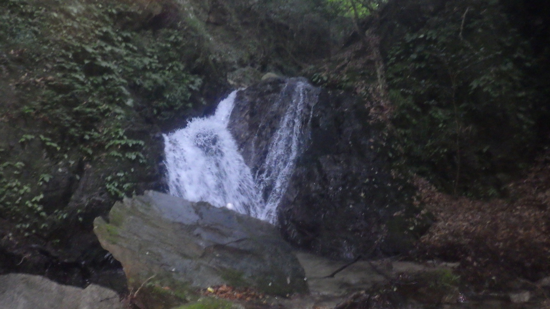 森麻呂の不思議な山行記